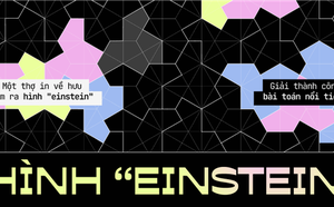 e502d5efa7e0080fd316.png