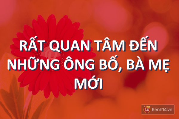 e5137d31998b24bebdd7.png