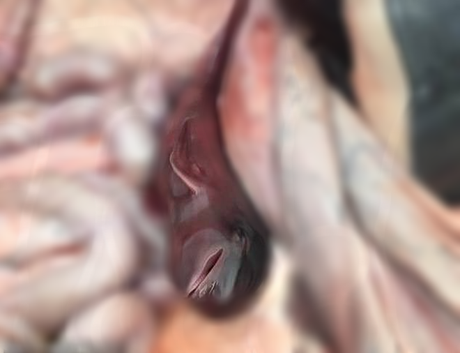 e54d1d2412be9a58dfa7.png