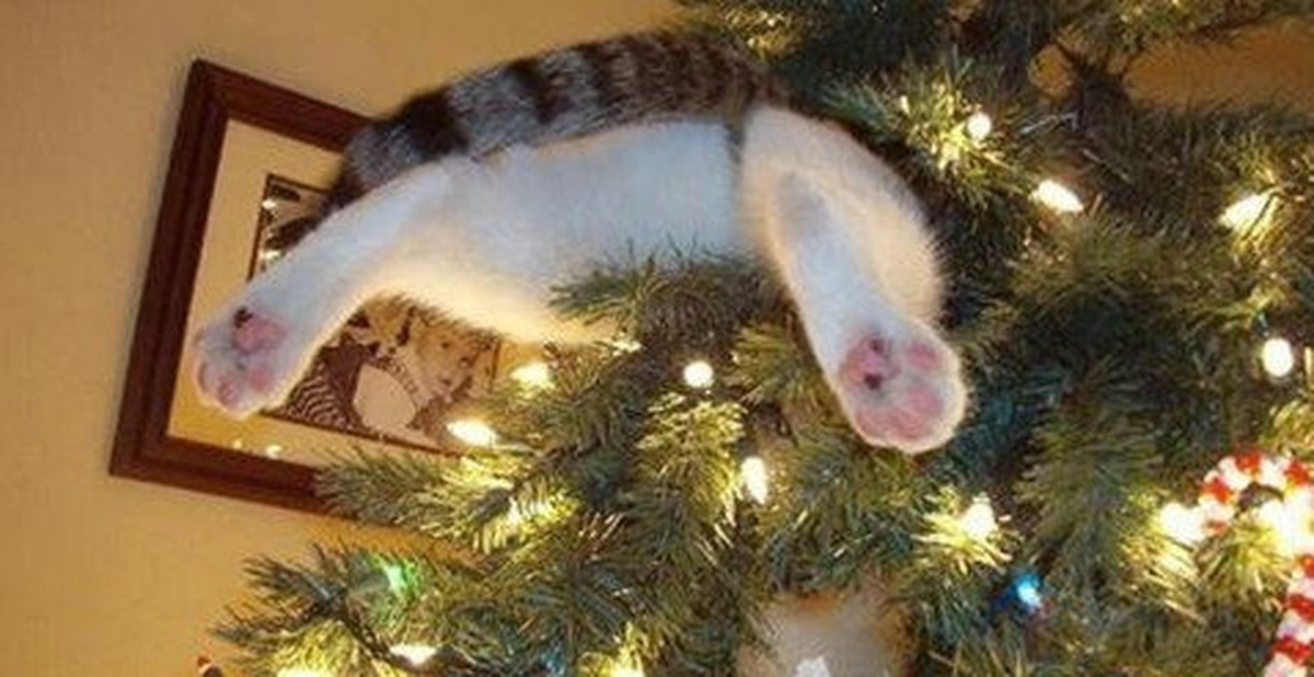 e54d38531e566f38e06b.jpg
