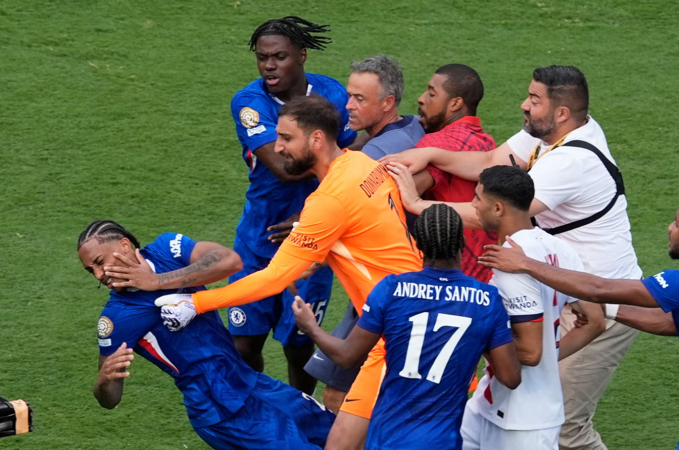 e55d1cf806b6f14776d0.png