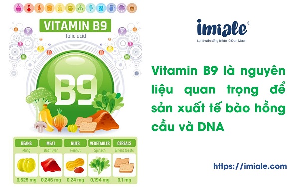 e5c4b16285e9a5d752a8.jpg