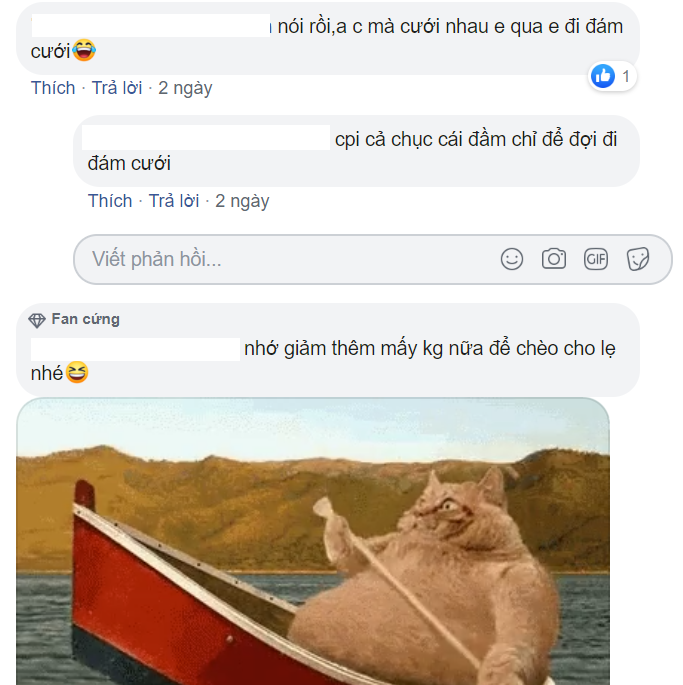e5d8f824492d91ca4a3e.png