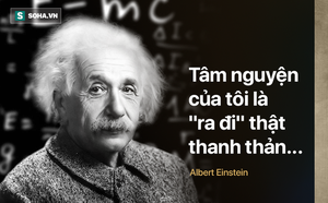e5ec4c7d6f4a31128d97.png