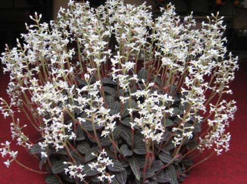 e640dfc7febee49a59da.jpg