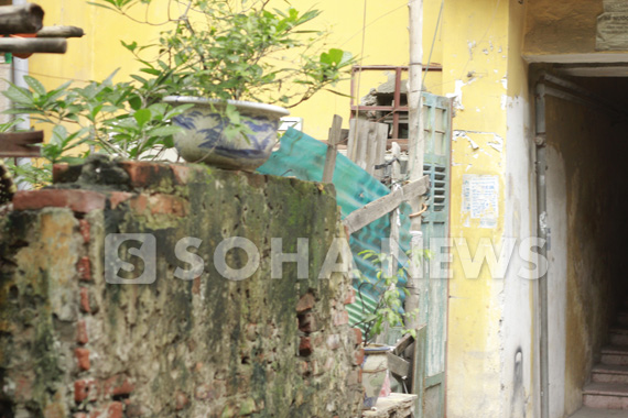 e67b608a59ab3337c000.jpg