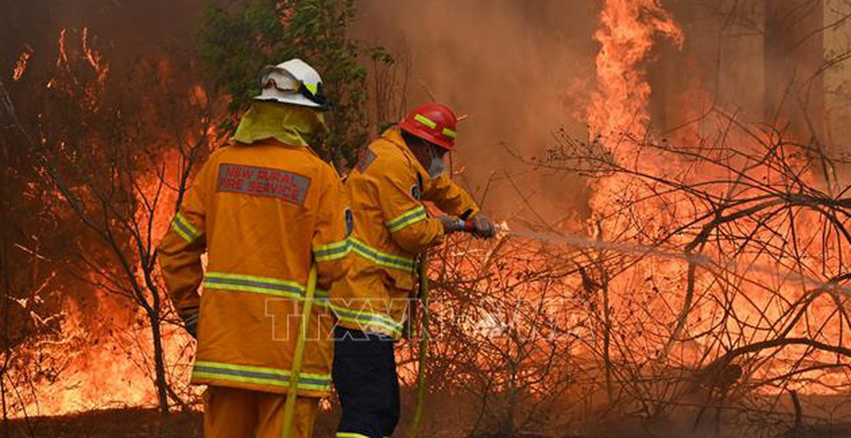 e6a3da10e541edffd7b3.jpg