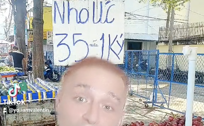 e6c6385d74ab5293bbae.png