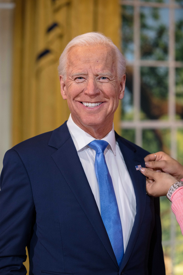 e6f82315221b7ed8718f.jpg