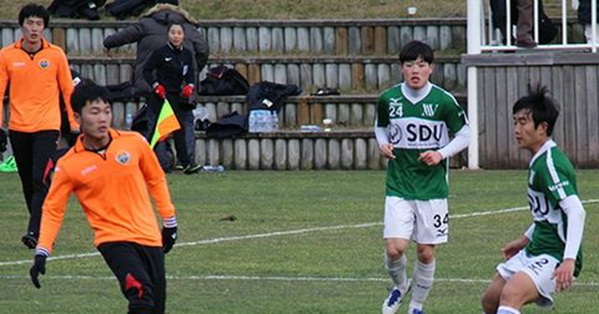 e721730d347581123aa3.jpg