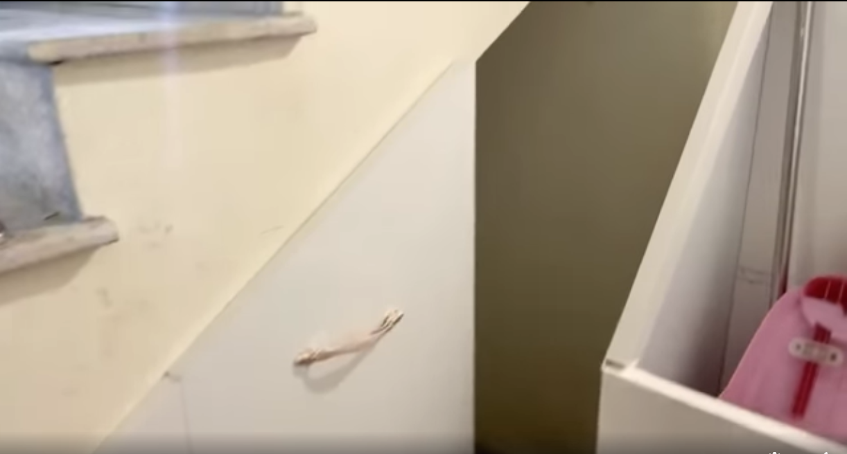 e738646f06a8a4265d29.png