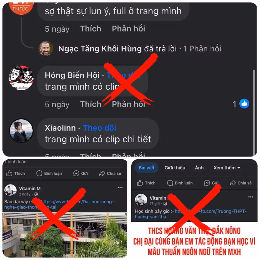 e73f74e2735a7625e824.jpg