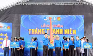 e7795a4999aefe6db8a7.jpg