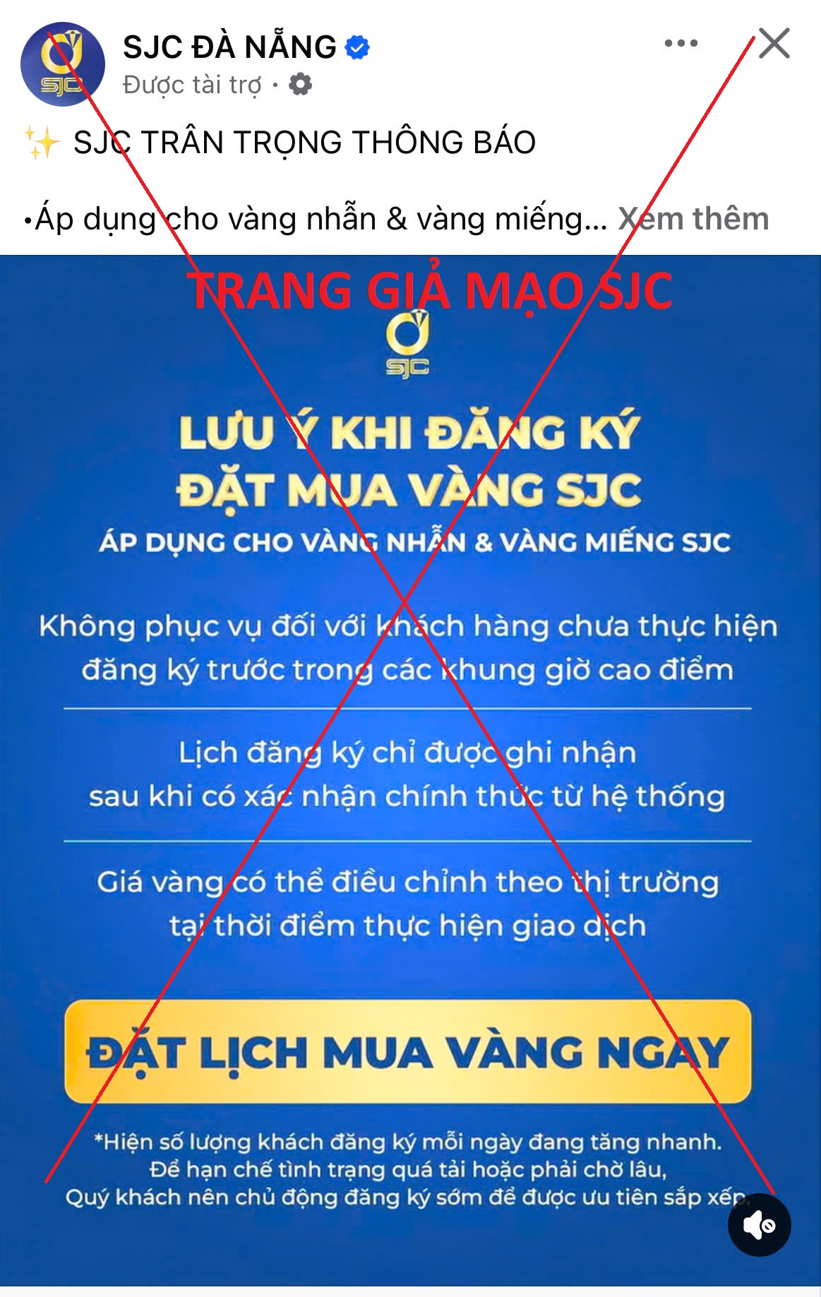 e7b059eb57d636bf3f6d.jpg