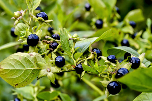e7f98186d0831725aafb.jpg