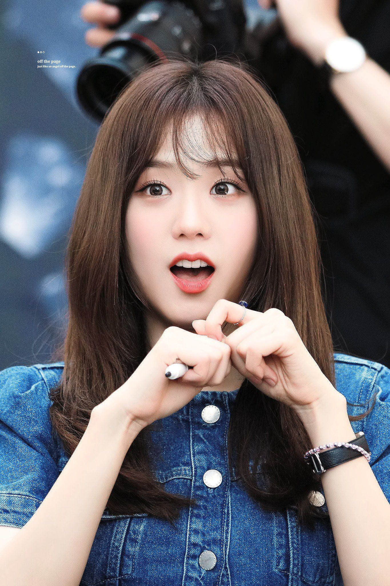 e803cb5a593cabe9426b.jpg