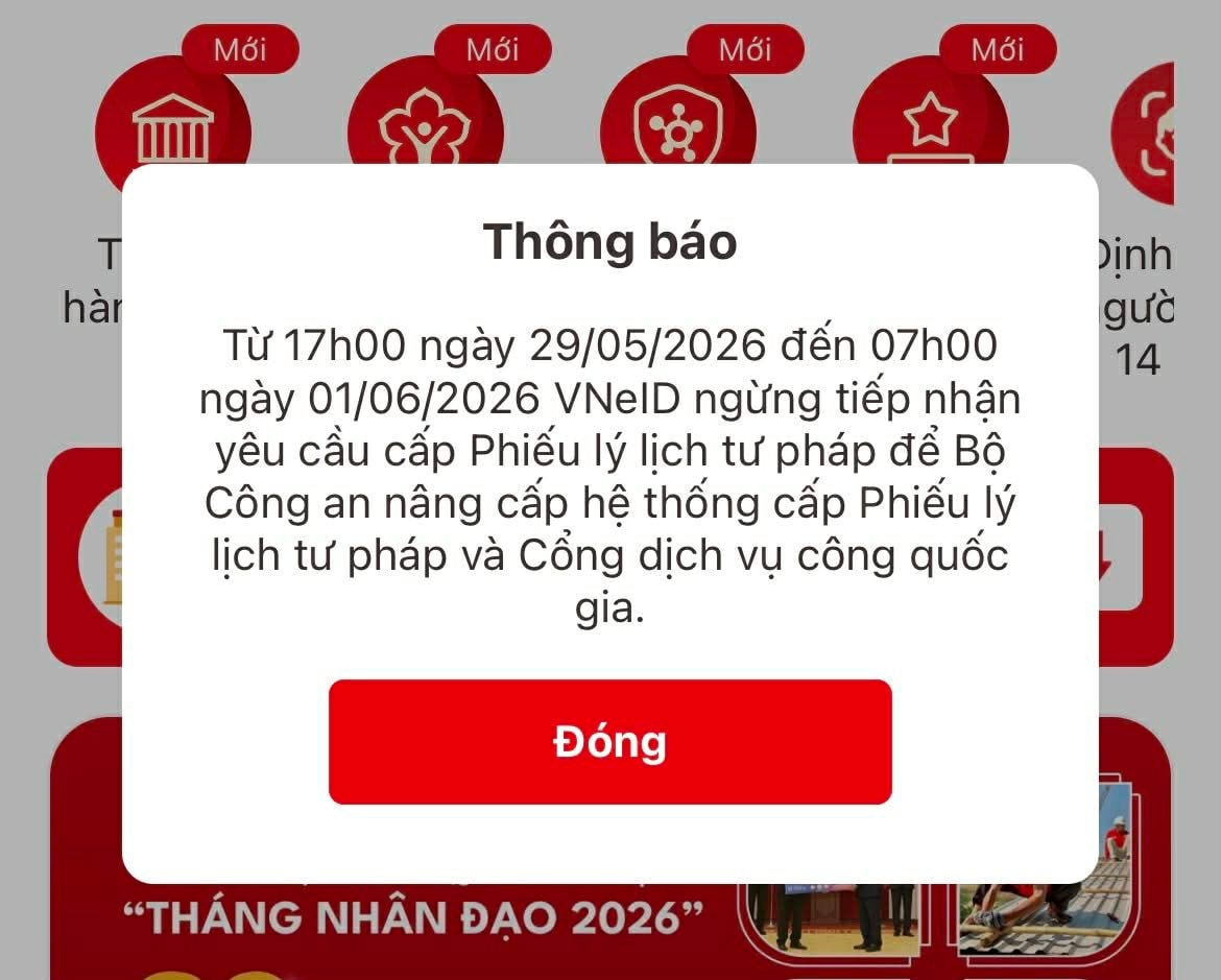 e80da2ac9cafe4c491be.jpg