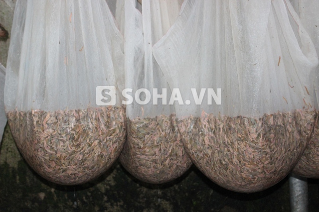 e8139be6164addad81a1.jpg