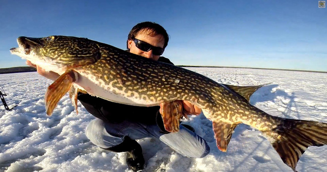 e832c693d214f59da738.jpg