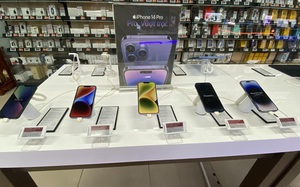e839fdd5cb5ad8bb5a95.jpg