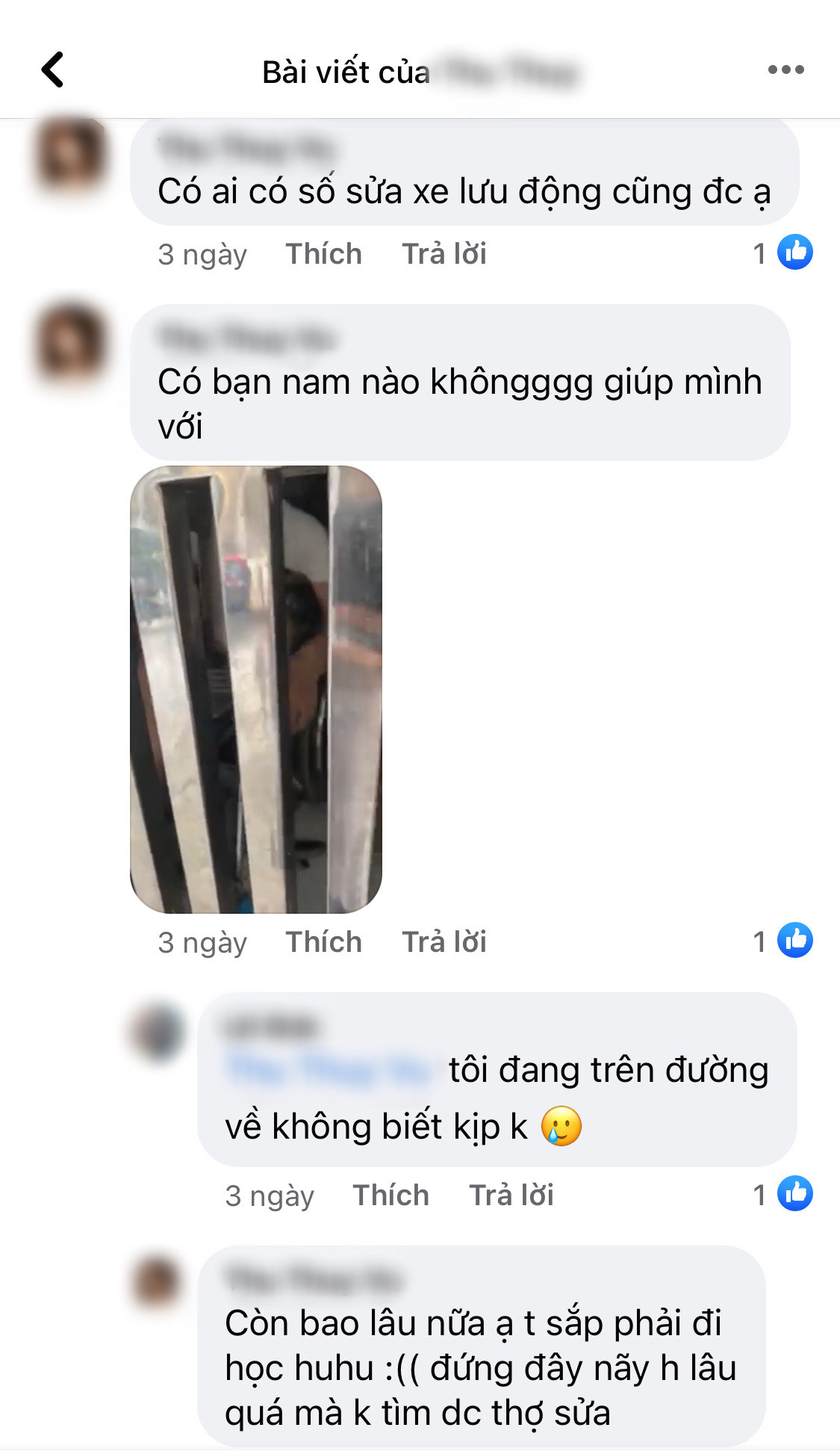 e83fea862ba955e4a548.jpg