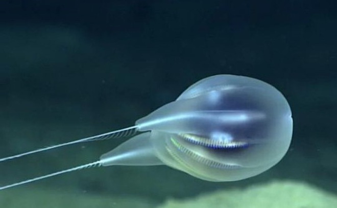 e8435c7c41d19ed40e44.jpg