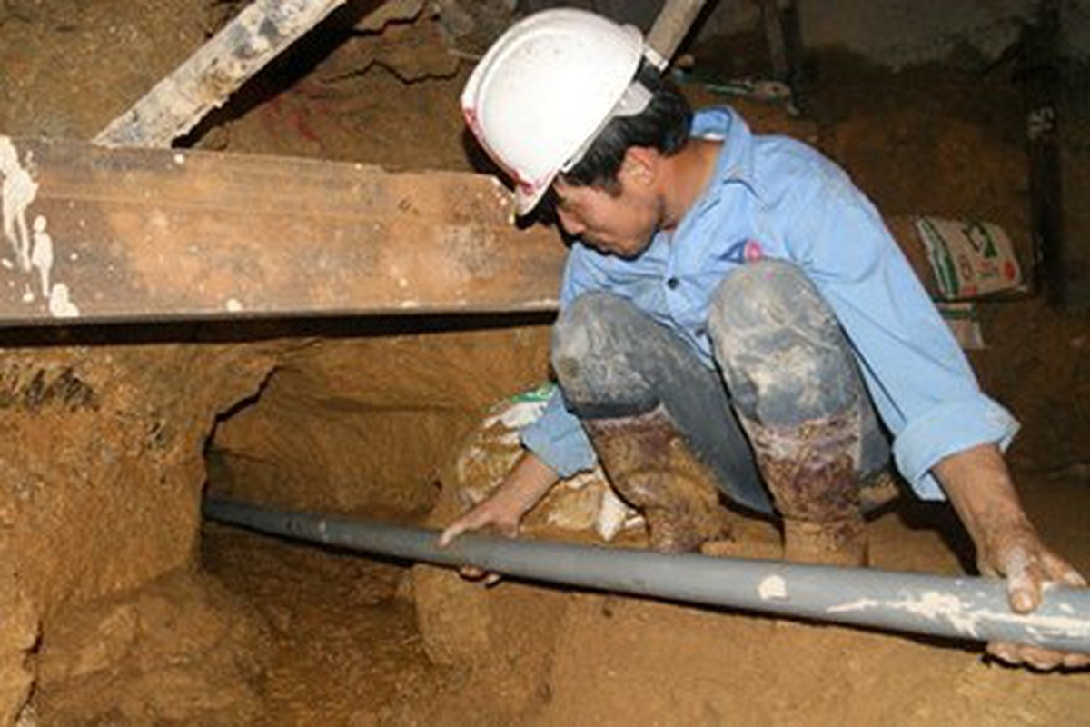 e85136bea92b229556e7.jpg