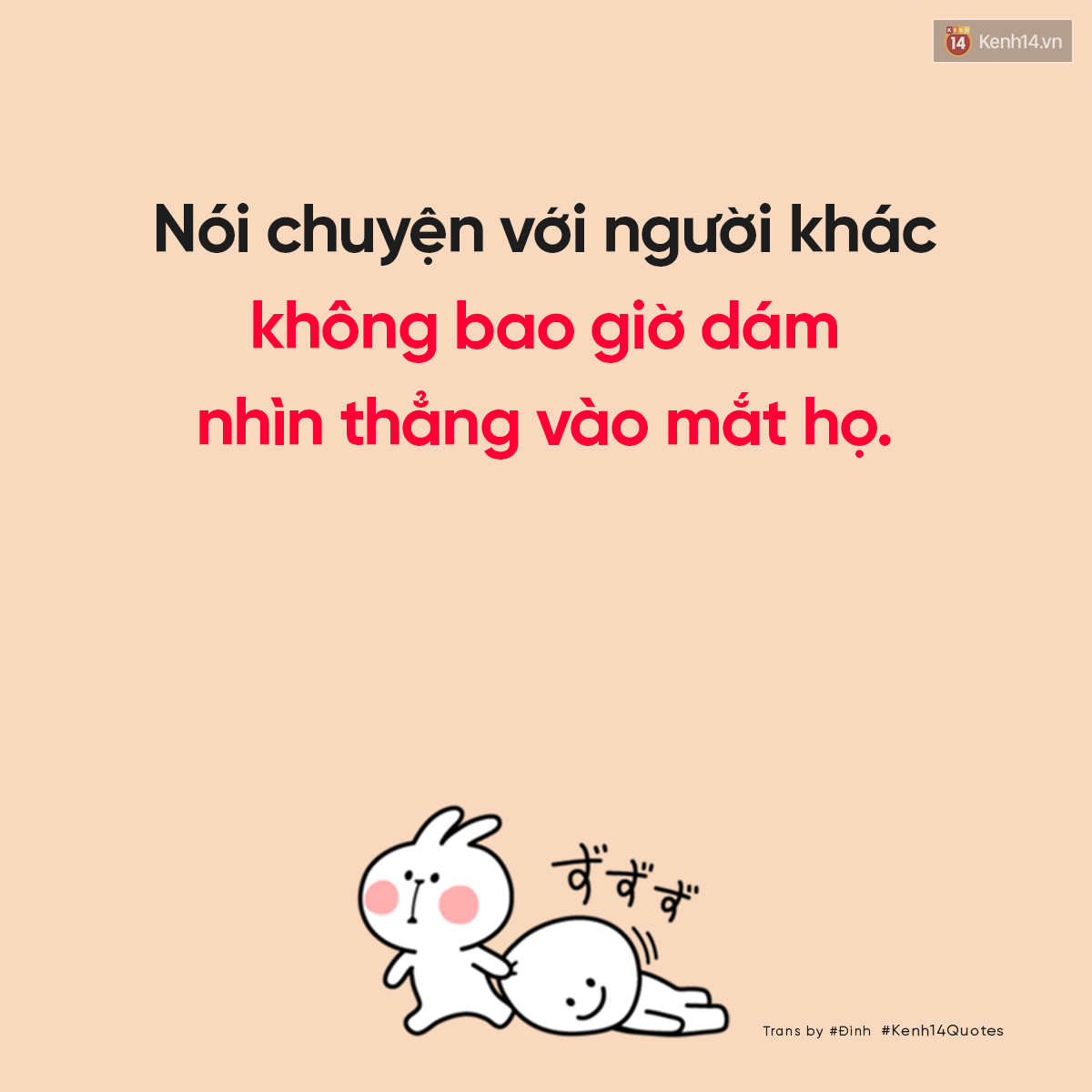 e858260c82f034a565a4.png