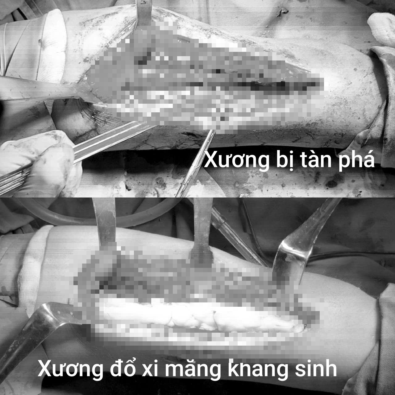 e86d91a5cf3ee43ff2ee.jpg