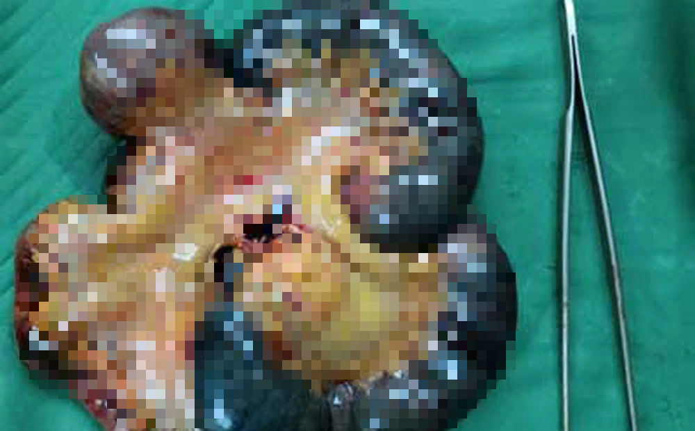 e8ab58c43ec7f0b708bb.jpg