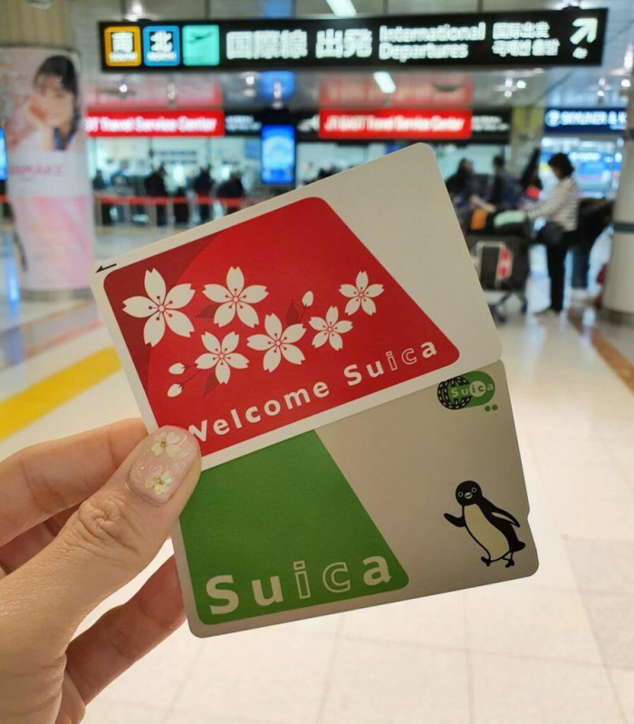e8ba618ac89caecec089.jpg
