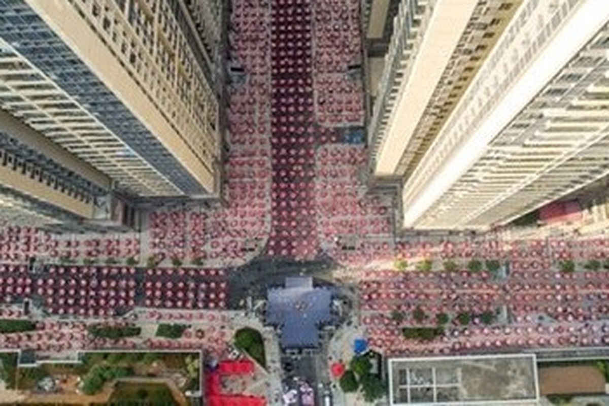 e8d96a0ac437e55359c0.jpg