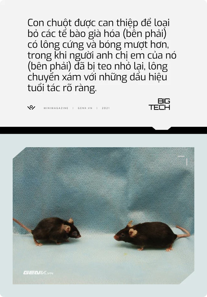 e8e4b70fde92bcd44c56.png