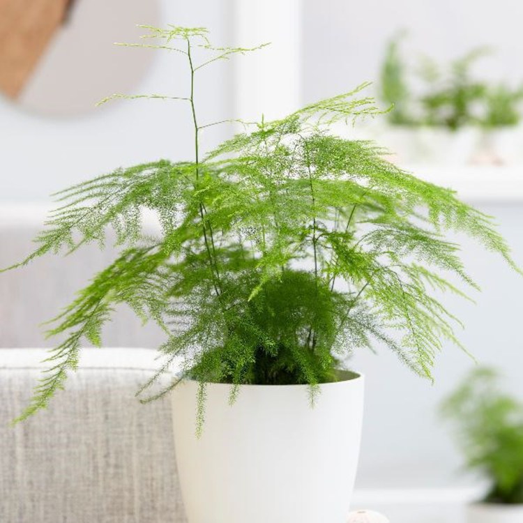 e8f933bc12450e53c0de.jpg