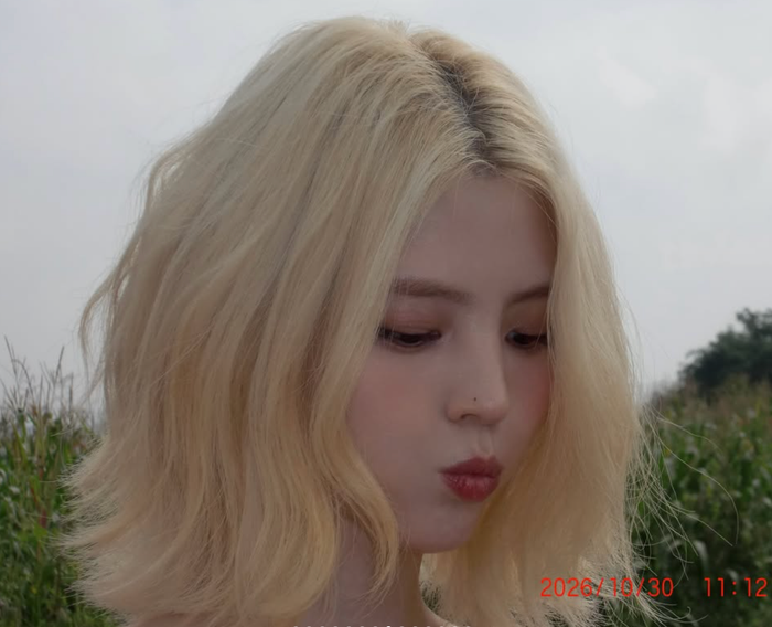 e96d1e33cec23dd9fc67.png