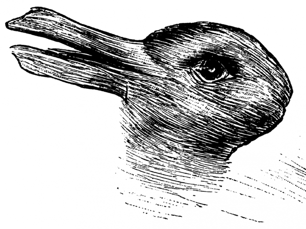 e972c662721c6908ec26.png