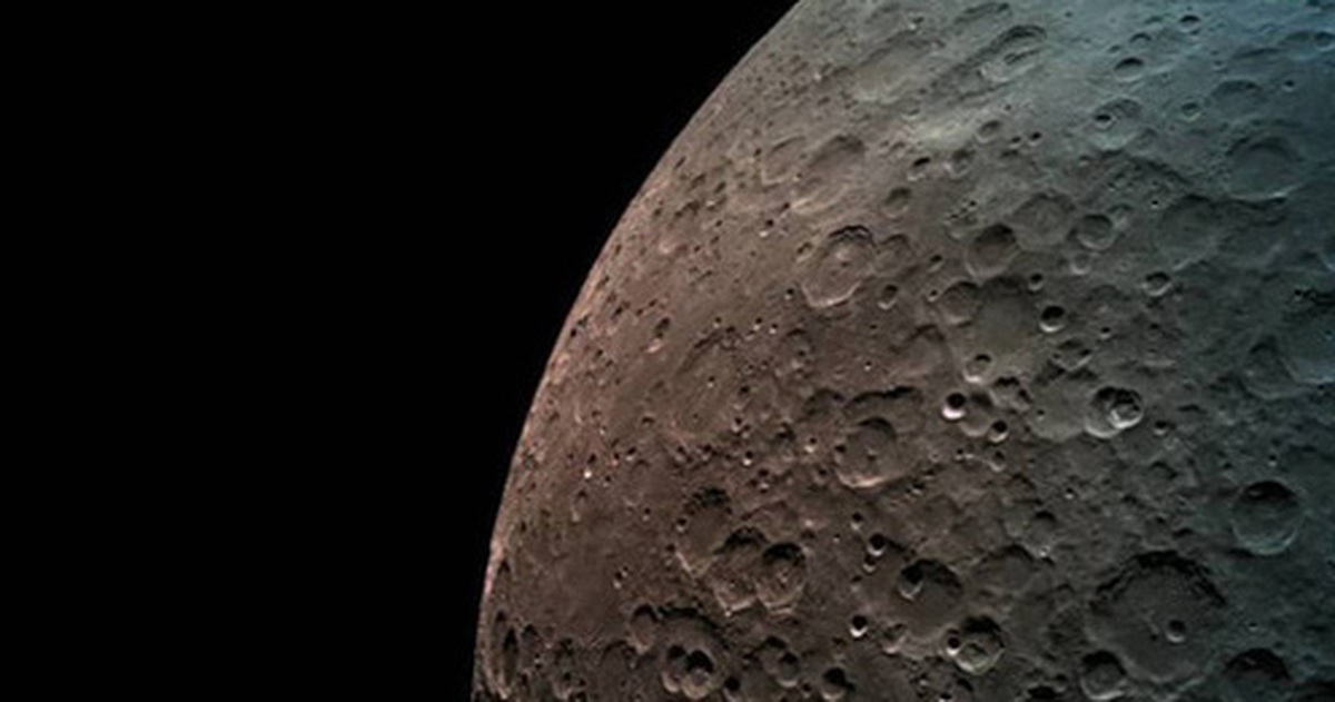 e981816376391a69d335.jpg