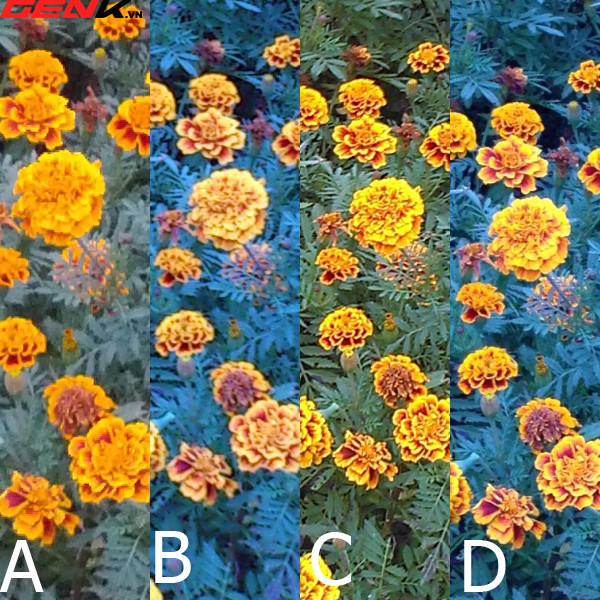 e99f8dc0b6298b284bcb.jpg