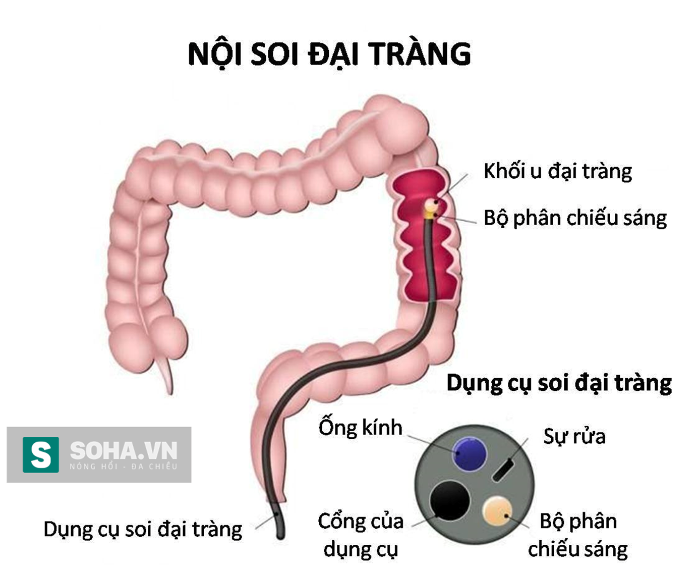e9c2ec12758e61ee1aea.png