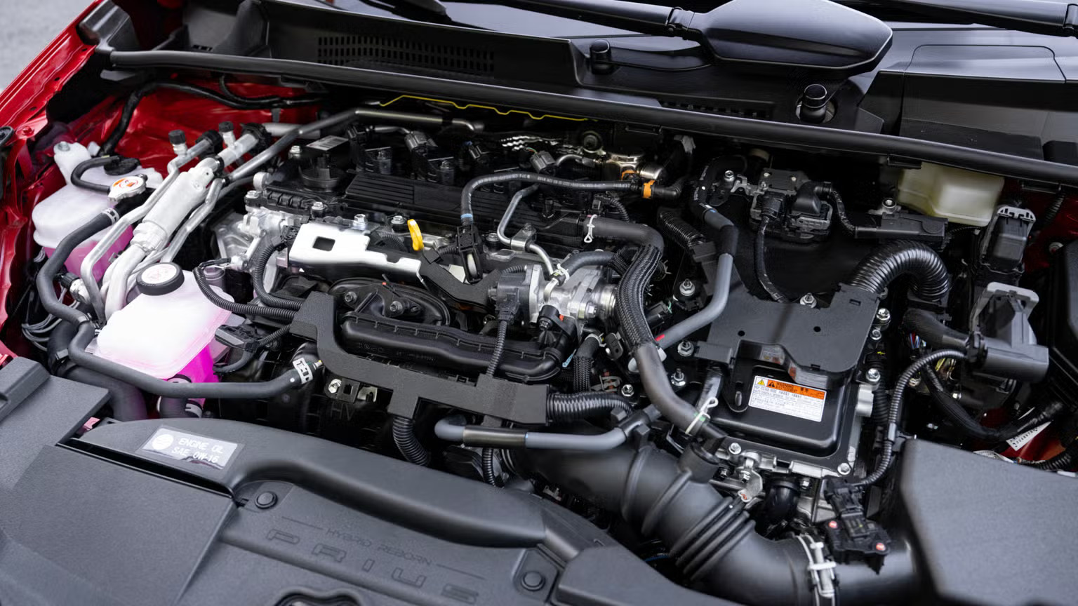 e9d350ddfca49014ccfe.jpg