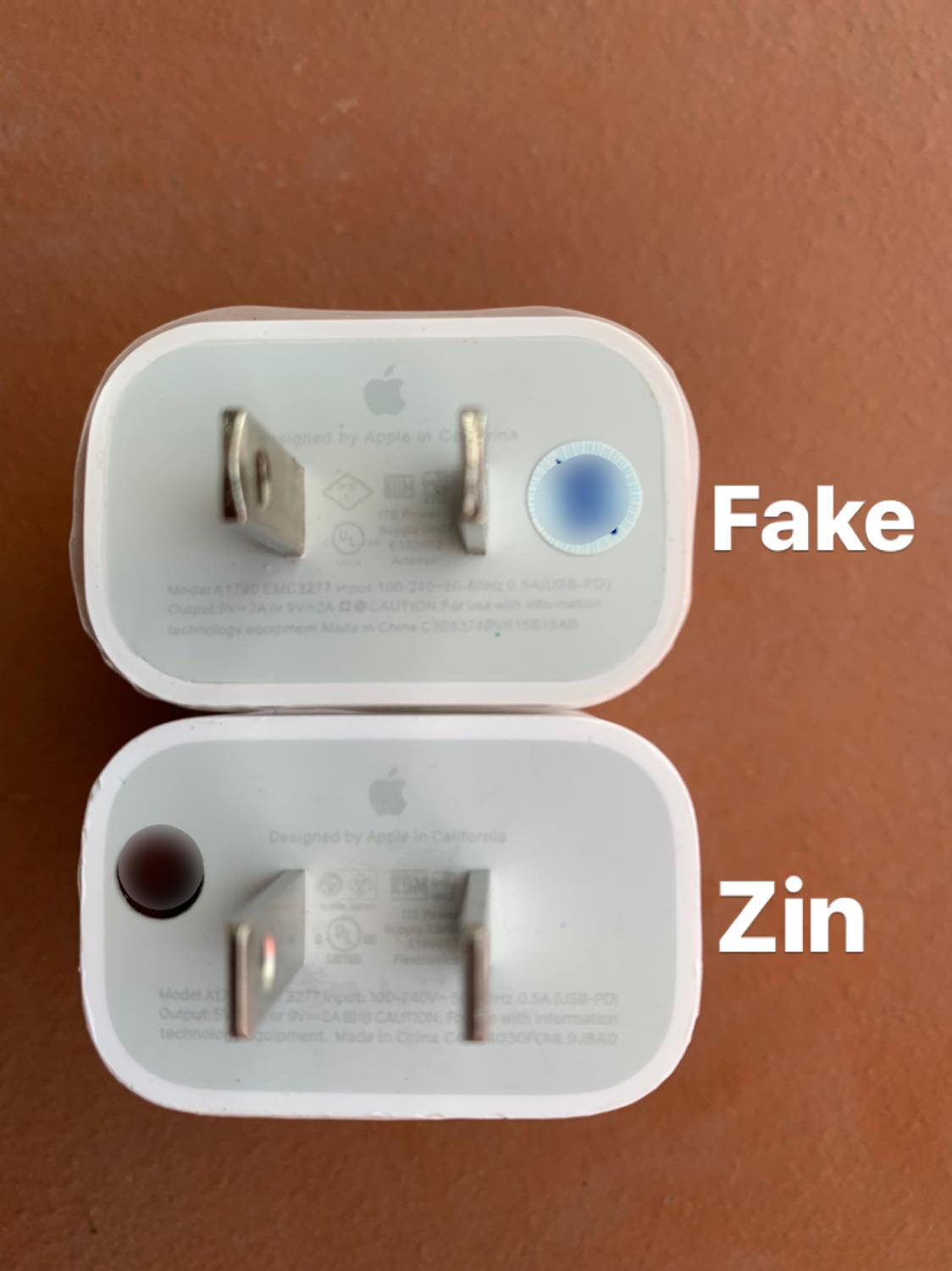 ea3d85d520e4a4b7a8d3.jpg