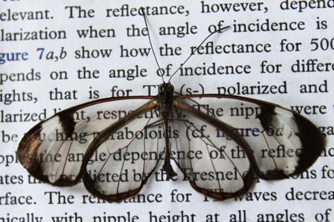 eaa74a9527b92a83f68f.png