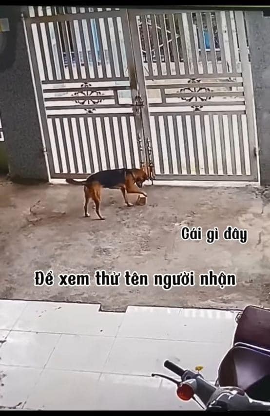 eb03aeeb3f9e1419f189.jpg