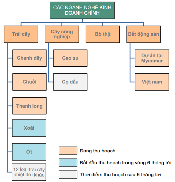 eb4c4e1a89f4caf346e5.png