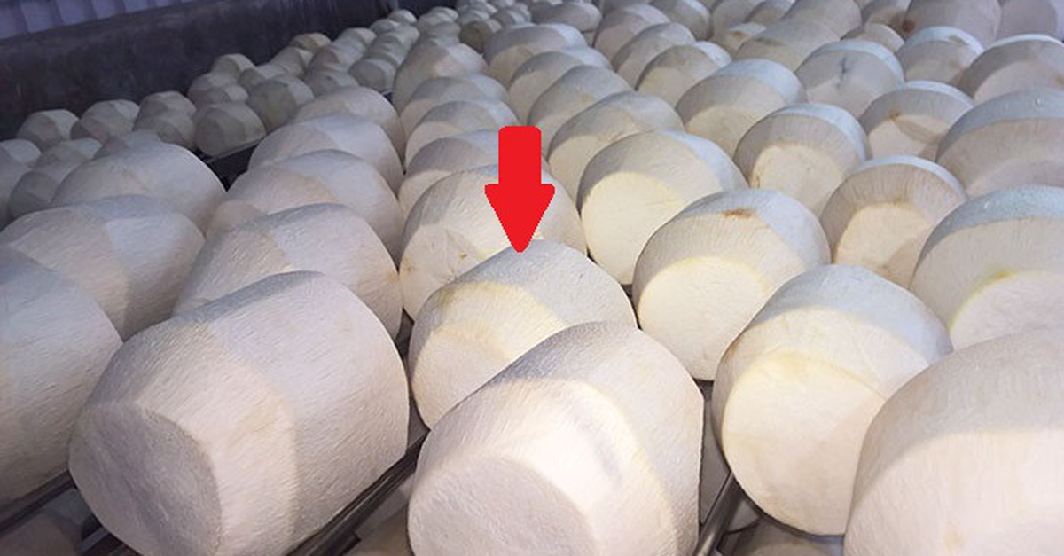 eba474ed71b8cf6cc305.jpg