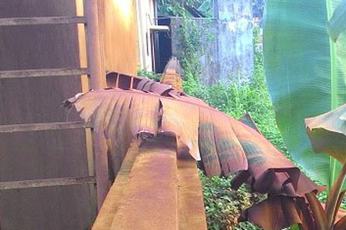 eba53b976960c08ef7b5.jpg