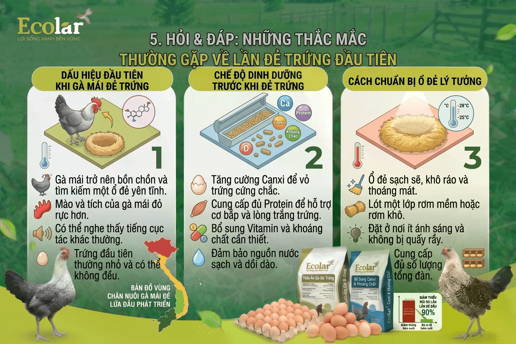 ebb4d4aea05e21de3878.png