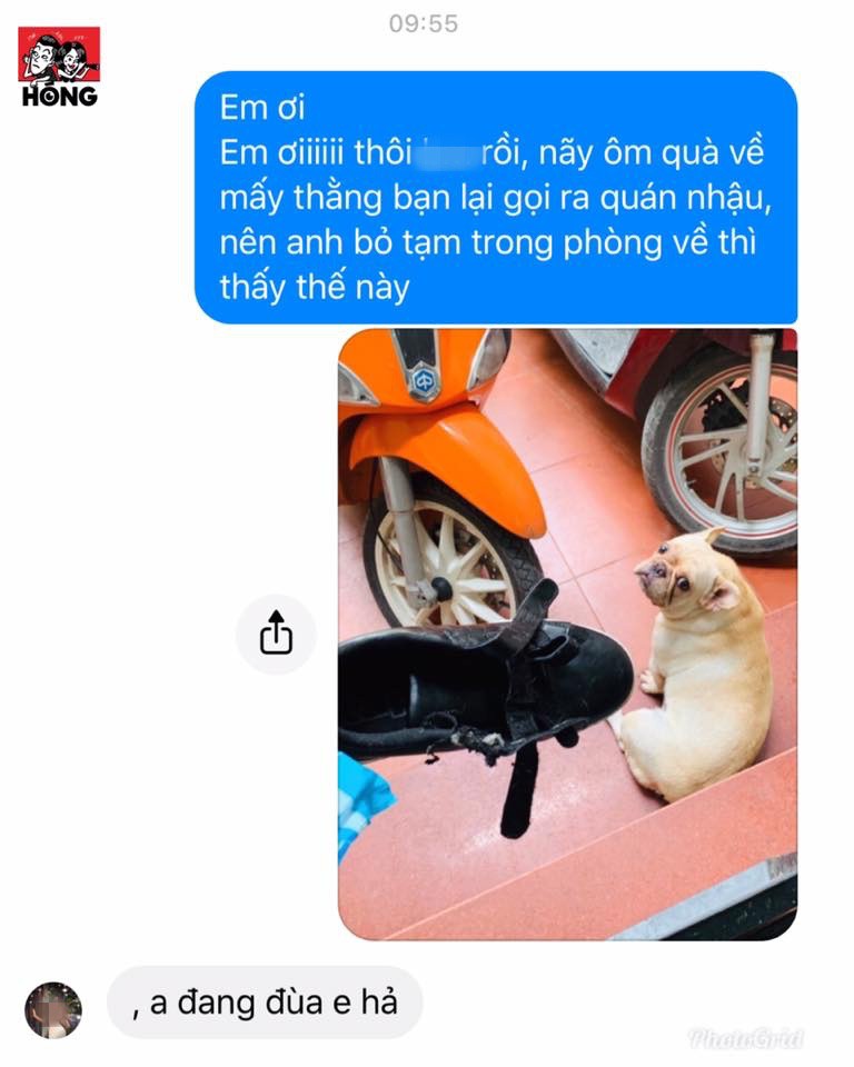 ebdfe4cfa10d7c7b41af.jpg