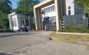 ec0881733e1f1913b557.jpg