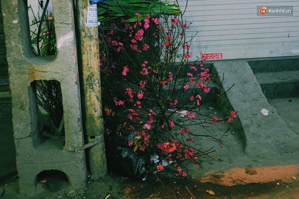 ec153f55952f7f0c022e.jpg
